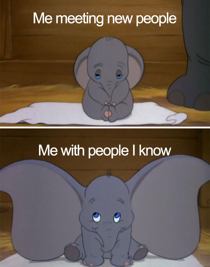 introvert funny memes - Me meeting new people Me with people I know
