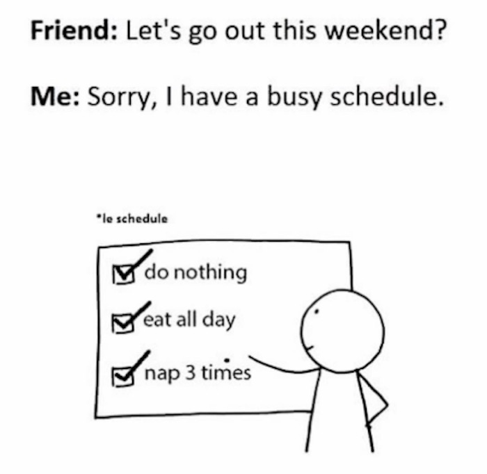 funny introvert memes - Friend Let's go out this weekend? Me Sorry, I have a busy schedule. le schedule V do nothing eat all day fi nap 3 times