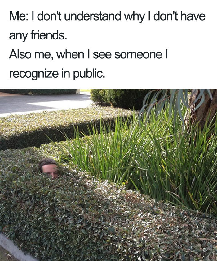 introvert memes - Me I don't understand why I don't have any friends. Also me, when I see someone | recognize in public.