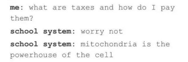 american tumblr posts - me what are taxes and how do I pay them? school system worry not school system mitochondria is the powerhouse of the cell