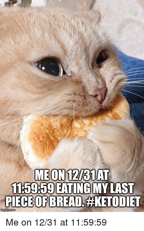 bread memes - hungary cat - Me On 1231 At 59 Eating My Last Piece Of Bread. imgiip.com Me on 1231 at 59