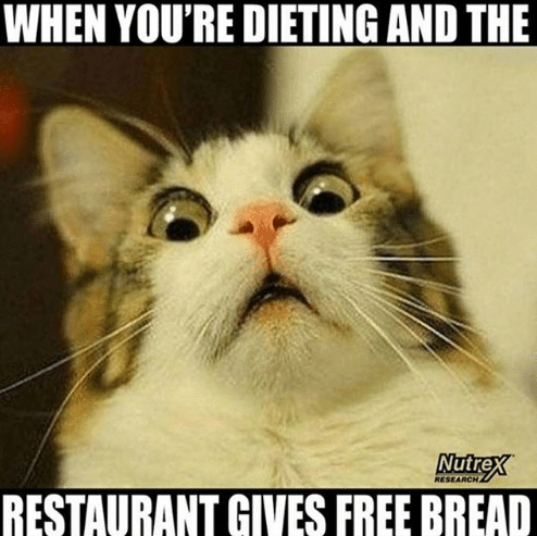 bread memes - cat memes - When You'Re Dieting And The Nutrex Research Restaurant Gives Free Bread