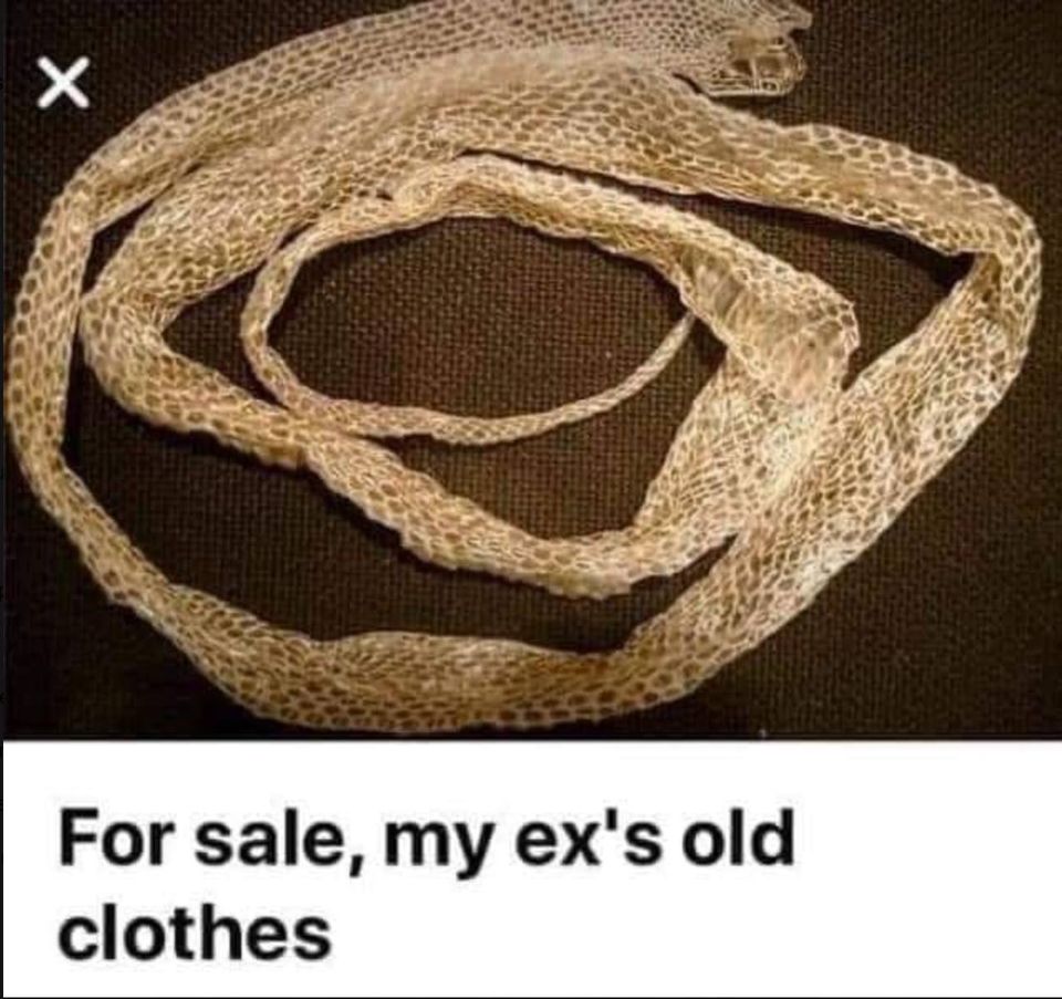 breakup memes - snake shedding skin - For sale, my ex's old clothes
