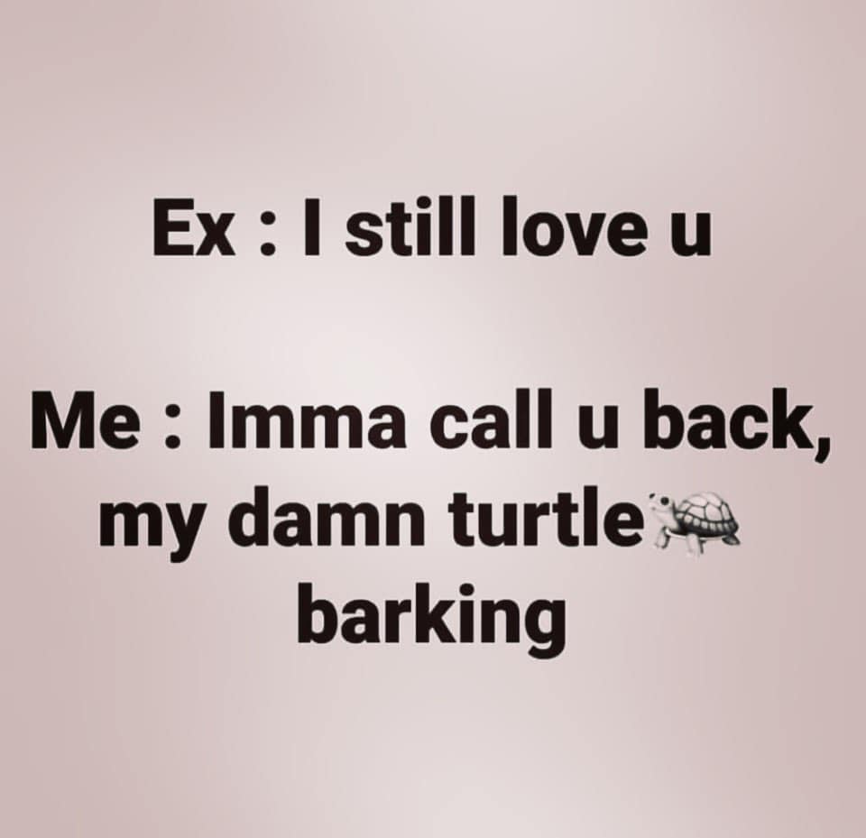 breakup memes - drinking aware - Ex I still love u Me Imma call u back, my damn turtle barking