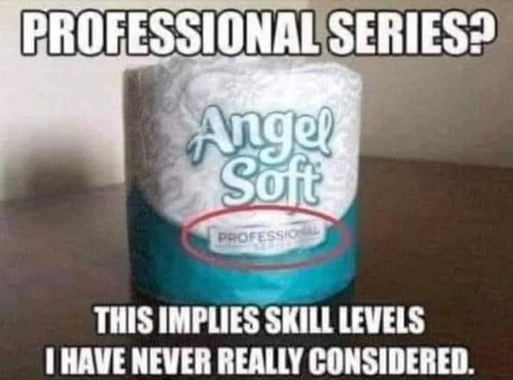 irritating day - Professional Series? Angel Soft Professione This Implies Skill Levels I Have Never Really Considered.