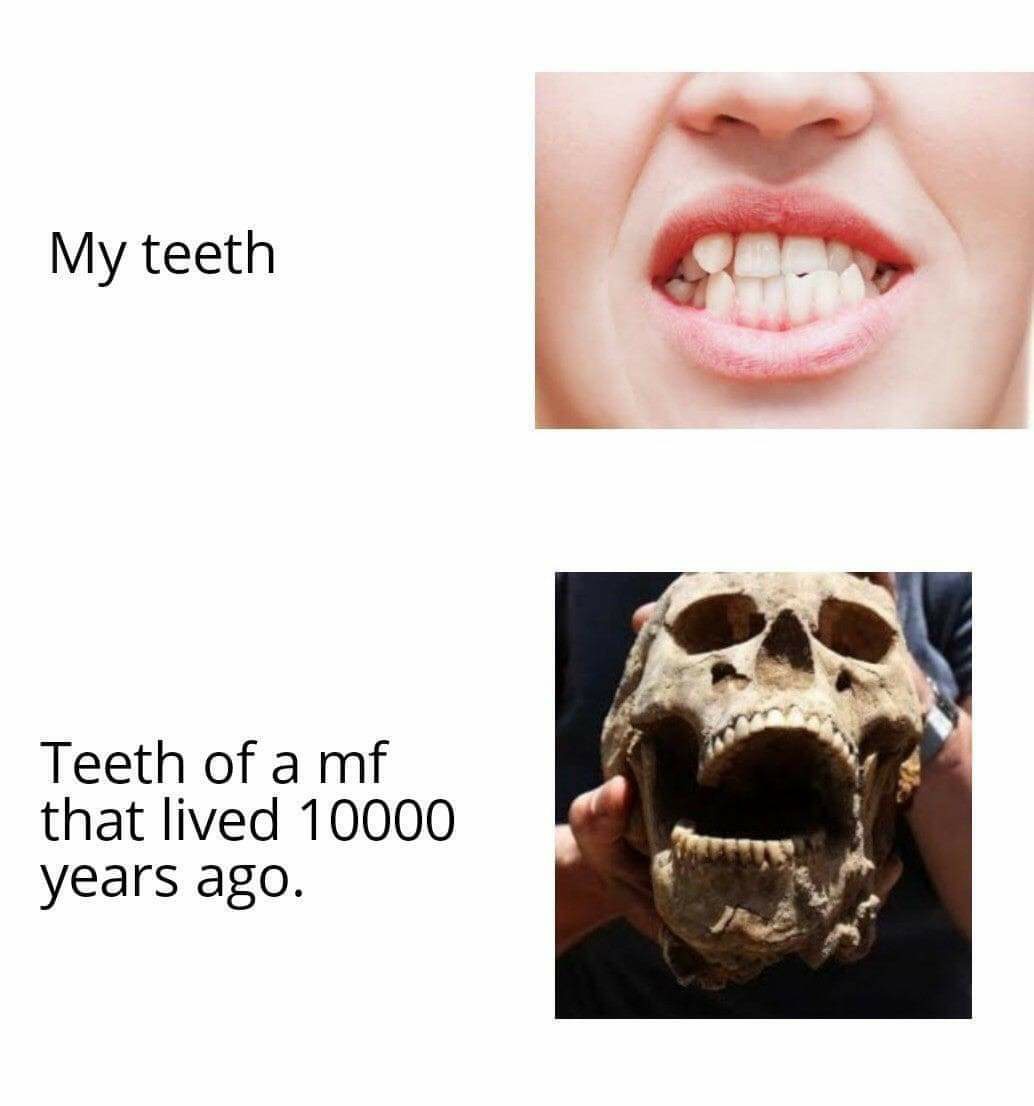 my teeth some mf teeth meme - My teeth Teeth of a mf that lived 10000 years ago.