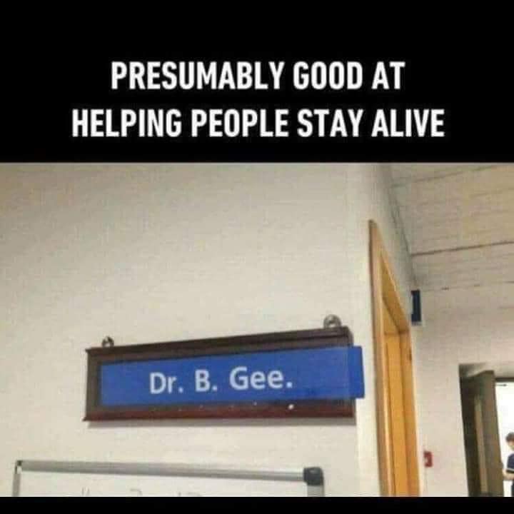 dr bee gee - Presumably Good At Helping People Stay Alive Dr. B. Gee.