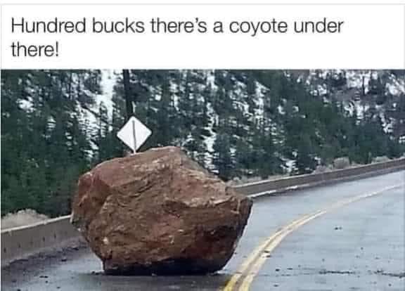 boulder on road - Hundred bucks there's a coyote under there!