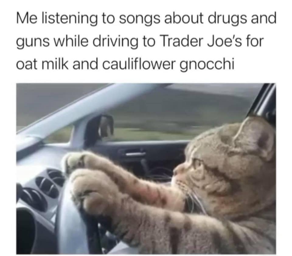me listening to songs about drugs and guns - Me listening to songs about drugs and guns while driving to Trader Joe's for oat milk and cauliflower gnocchi