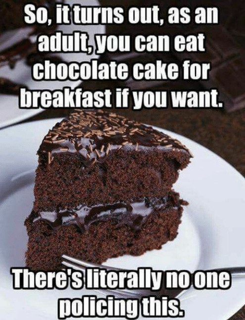funny pics  - chocolate cake for breakfast meme - So, it turns out, as an adult, you can eat chocolate cake for breakfast if you want. There's literally no one policing this.