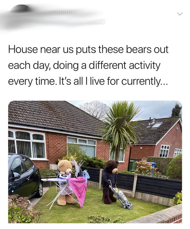 funny pics  - yard - House near us puts these bears out each day, doing a different activity every time. It's all I live for currently...