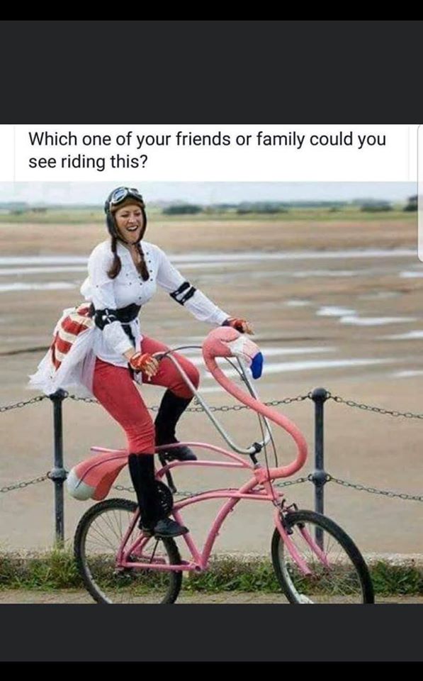 funny pics  - flamingo fiets - Which one of your friends or family could you see riding this?