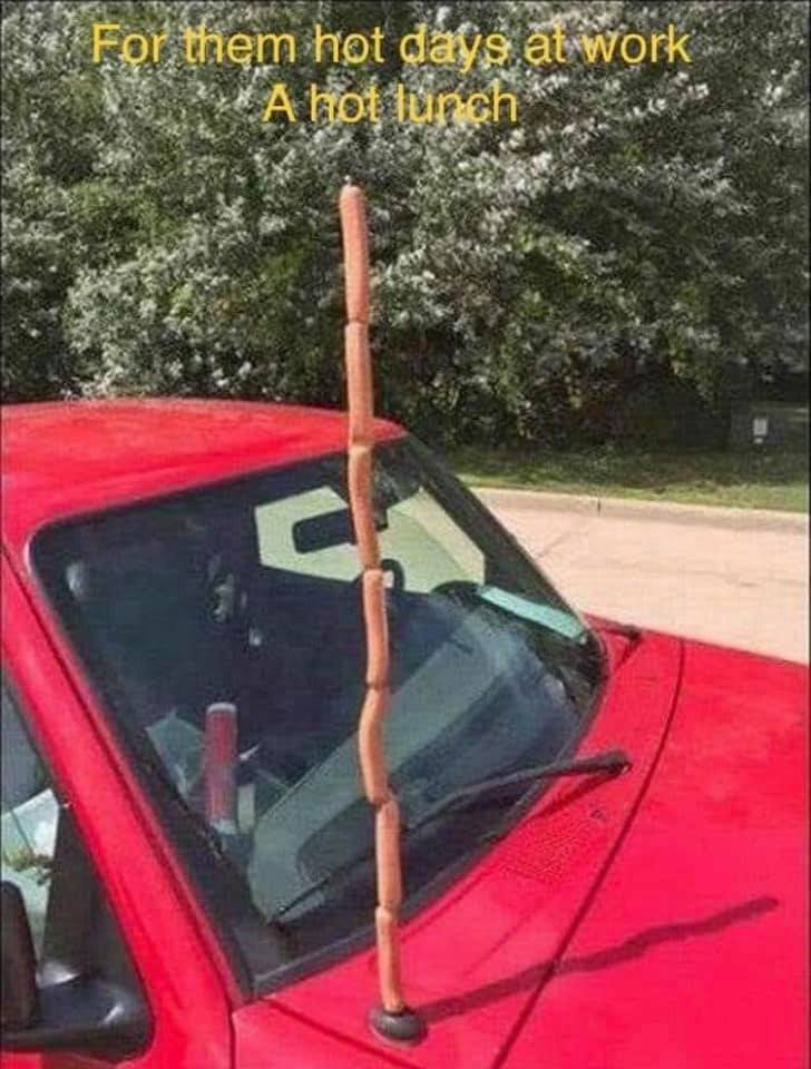 funny pics  - hot dogs on car antenna - For them hot days at work A hot lunch