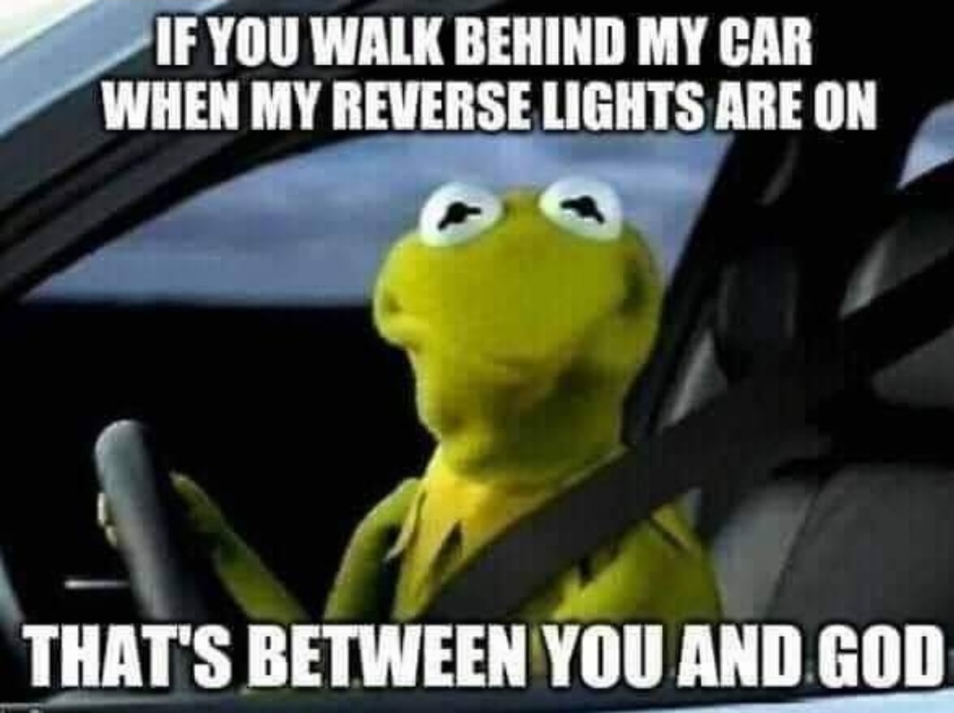 kermit the frog meme face - If You Walk Behind My Car When My Reverse Lights Are On That'S Between You And God