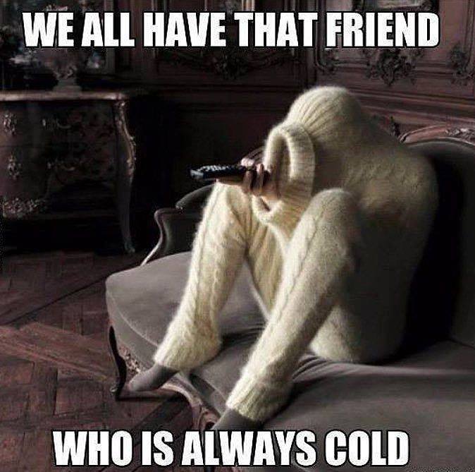 winter memes - we all have that one friend - We All Have That Friend Who Is Always Cold