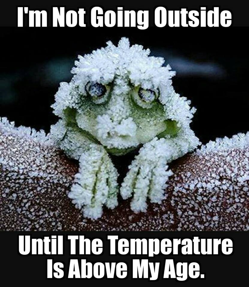 winter memes - defrost meme - I'm Not Going Outside Until The Temperature Is Above My Age.