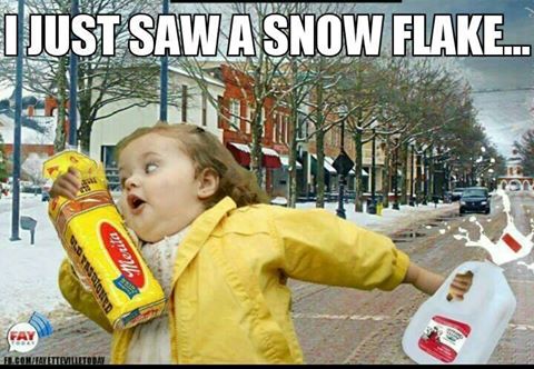 winter memes - gotta get the bread and milk - I Just Saw Asnow Flake... Fron Meula . Fay El.Contattatilatona
