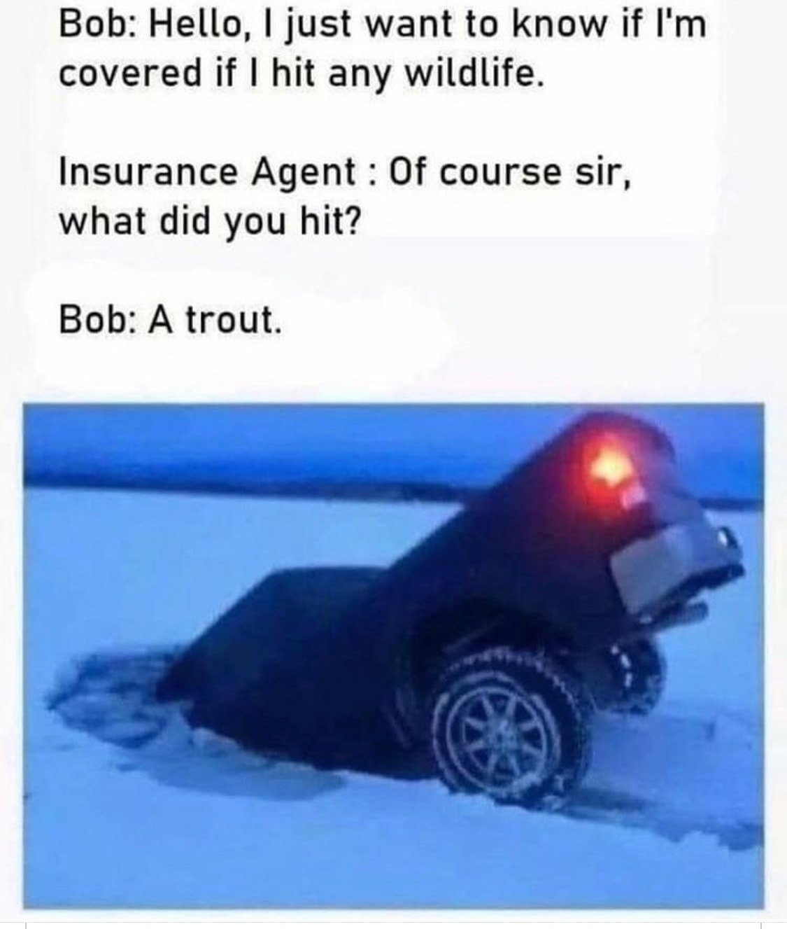 winter memes - Bob Hello, I just want to know if I'm covered if I hit any wildlife. Insurance Agent Of course sir, what did you hit? Bob A trout.