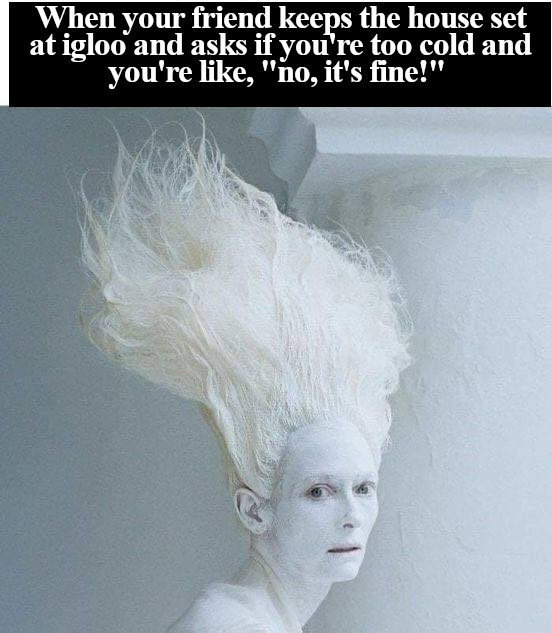 winter memes - dry shampoo meme - When your friend keeps the house set at igloo and asks if you're too cold and you're , "no, it's fine!"