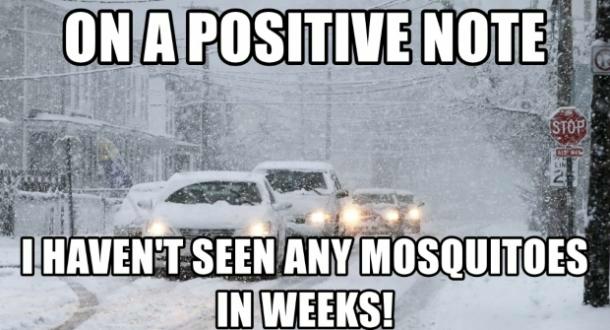 winter memes - winter funny memes - On A Positive Note Istop 111 Gim 24 I Haven'T Seen Any Mosquitoes In Weeks!