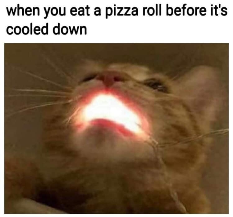 pizza - when you eat a pizza roll before it's cooled down