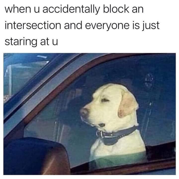 dank memes - car memes - funny memes 9gag - when u accidentally block an intersection and everyone is just staring at u