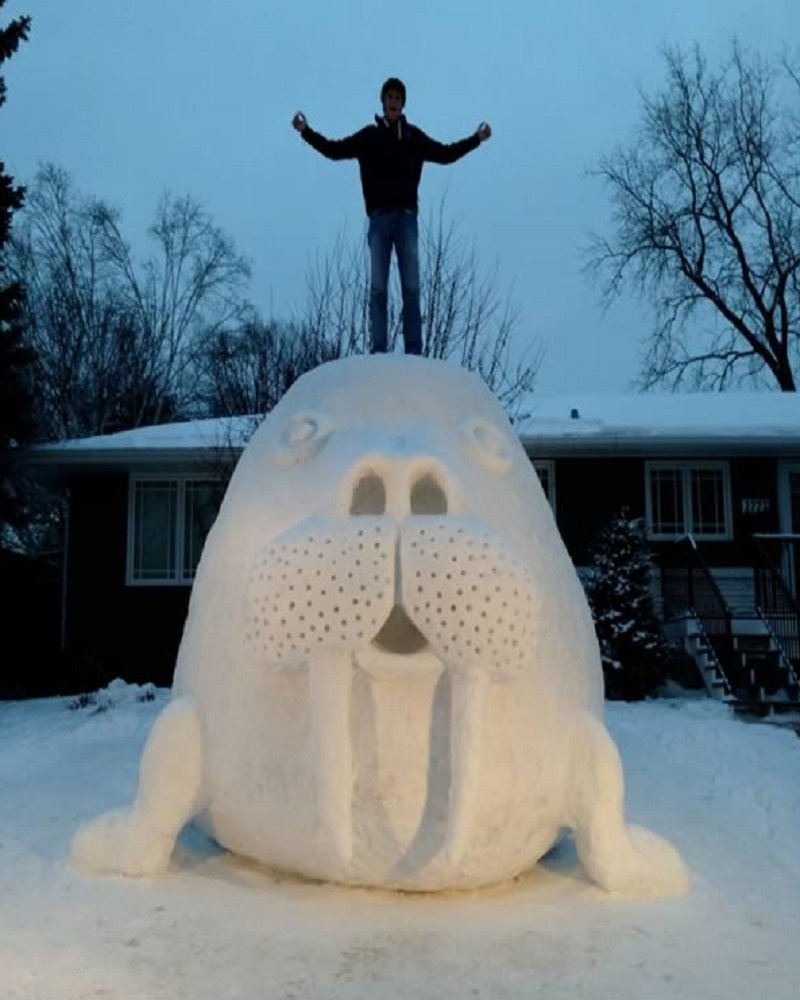 snow sculptures - backyard snow sculpture