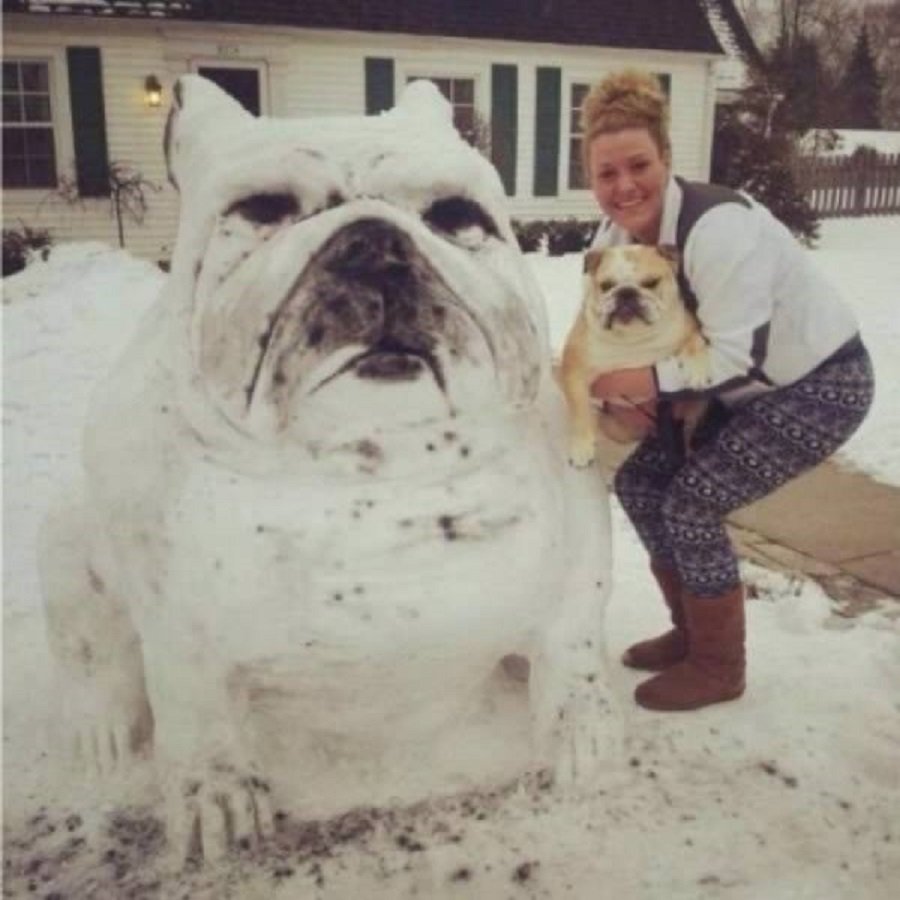 snow sculptures - snowman doge - co ee