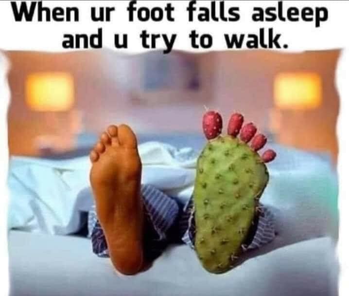 Frustrating pet peeves - say something smart memes - When ur foot falls asleep and u try to walk.