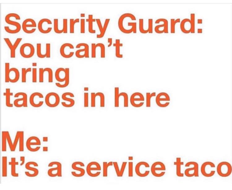 orange - Security Guard You can't bring tacos in here Me It's a service taco