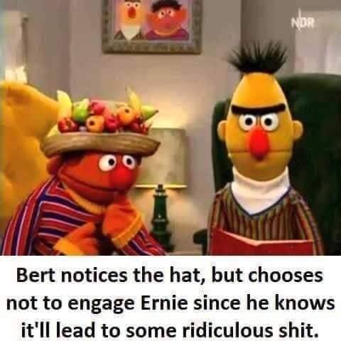 bert notices the hat - Nor Bert notices the hat, but chooses not to engage Ernie since he knows it'll lead to some ridiculous shit.