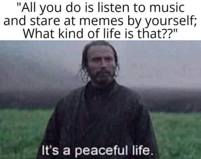 all you do is listen to music - "All you do is listen to music and stare at memes by yourself; What kind of life is that??" It's a peaceful life.