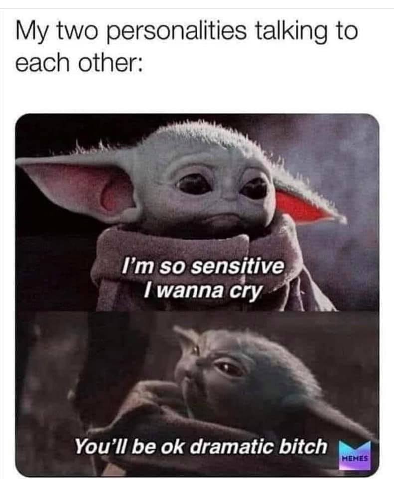 baby yoda meme sad - My two personalities talking to each other I'm so sensitive I wanna cry You'll be ok dramatic bitch Hemes