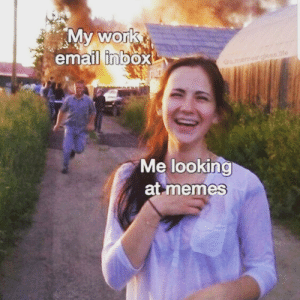 email meme - My work email inbox Me looking at memes
