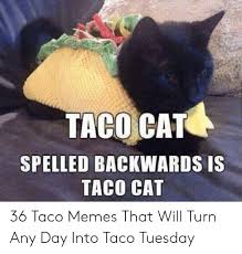 28 Taco Tuesday Memes That Inspire Us to Live Más