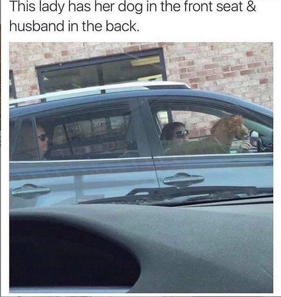sad memes - women with husband in back dogs in front seat - This lady has her dog in the front seat & husband in the back. e