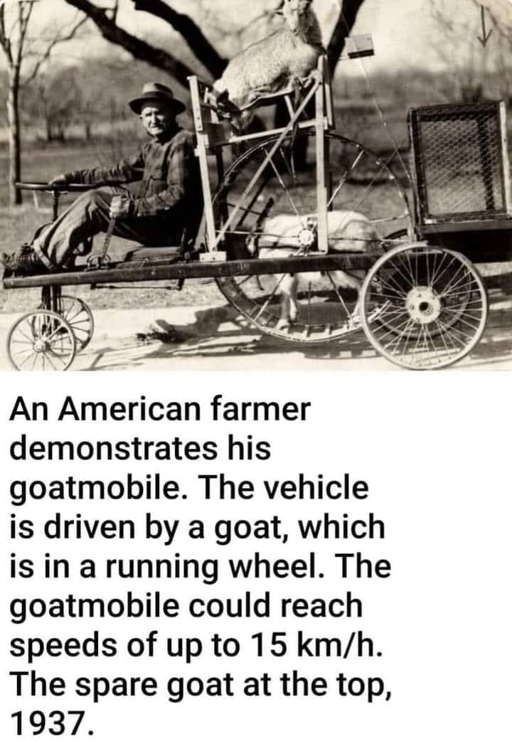 john dalton atomic theory - An American farmer demonstrates his goatmobile. The vehicle is driven by a goat, which is in a running wheel. The goatmobile could reach speeds of up to 15 kmh. The spare goat at the top, 1937.
