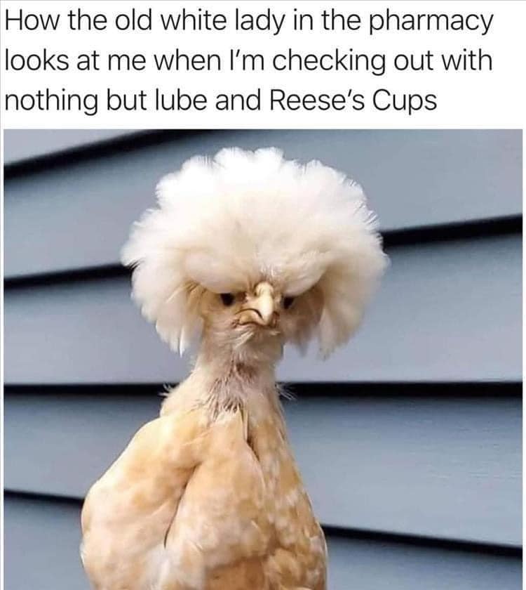 chicken karen - How the old white lady in the pharmacy looks at me when I'm checking out with nothing but lube and Reese's Cups