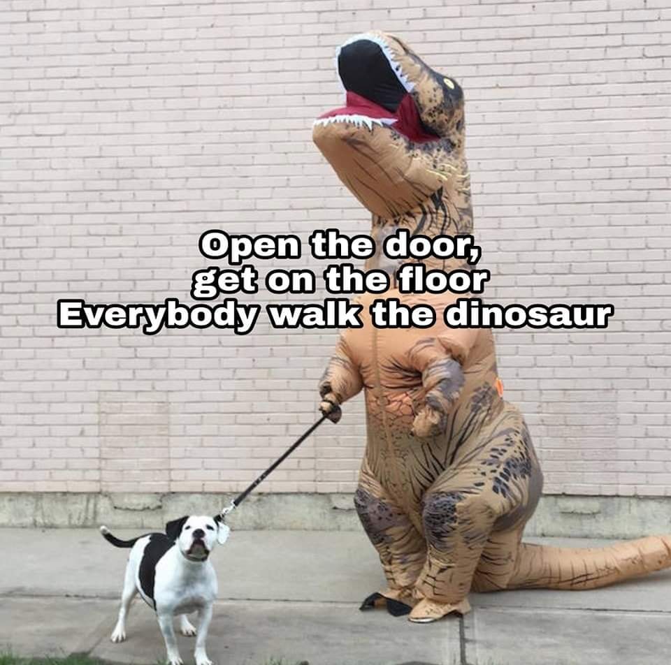 dinosaur walking dog - Open the door, get on the floor Everybody walk the dinosaur