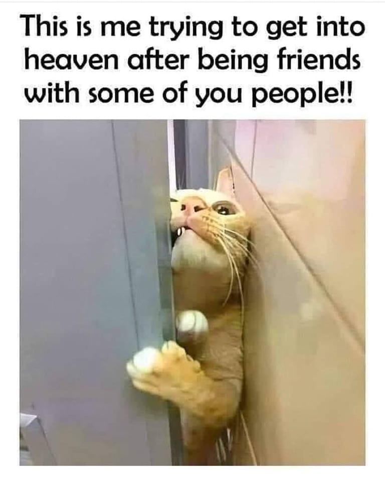 religion memes - me trying to get into heaven meme - This is me trying to get into heaven after being friends with some of you people!!