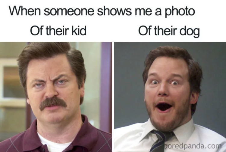 pets vs kids meme - When someone shows me a photo Of their kid Of their dog poredpanda.com