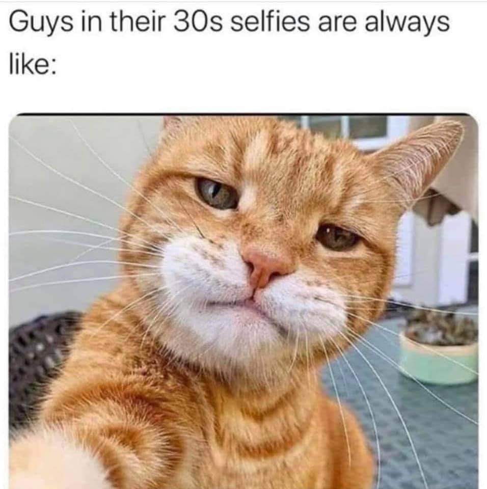 selfie meme - Guys in their 30s selfies are always