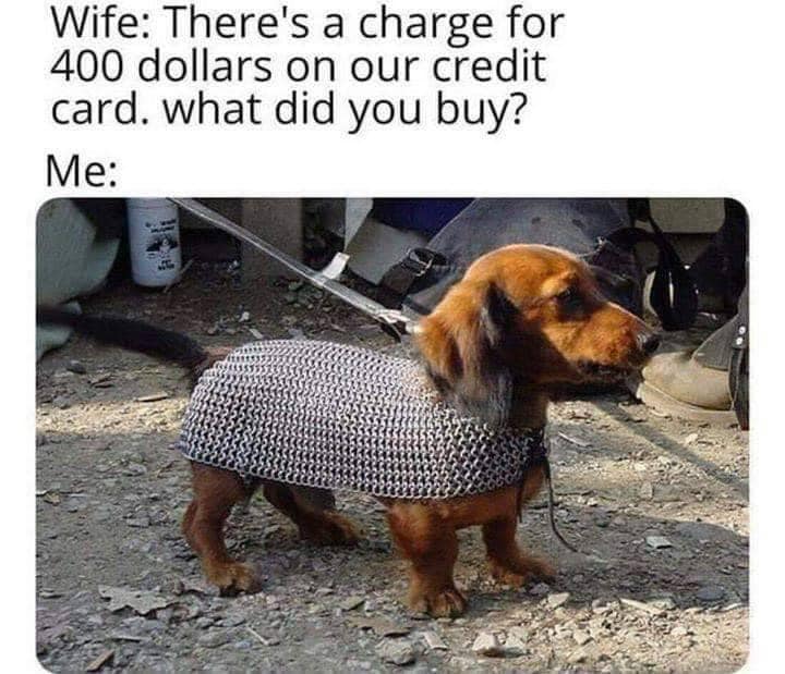 dog in armor - Wife There's a charge for 400 dollars on our credit card. what did you buy? Me