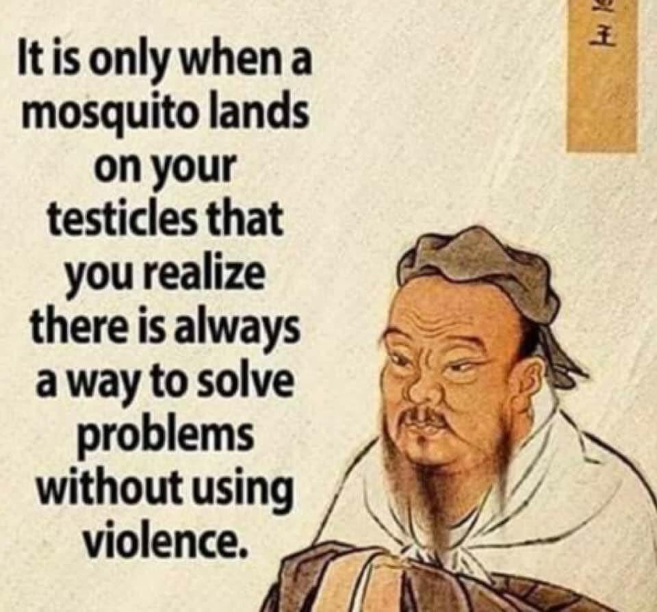 cartoon - 1 It is only when a mosquito lands on your testicles that you realize there is always a way to solve problems without using violence.