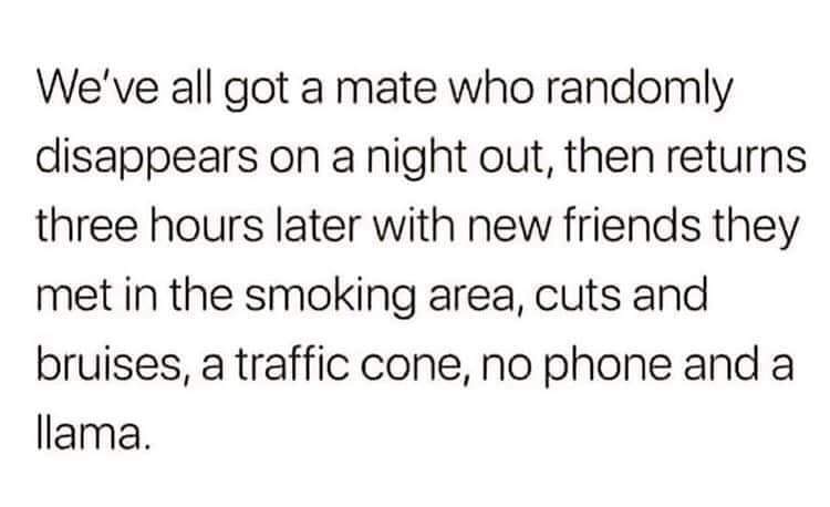 number - We've all got a mate who randomly disappears on a night out, then returns three hours later with new friends they met in the smoking area, cuts and bruises, a traffic cone, no phone and a llama.