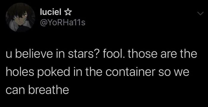 crazy realizations - flies are literally obsessed with flying into - luciel u believe in stars? fool. those are the holes poked in the container so we can breathe
