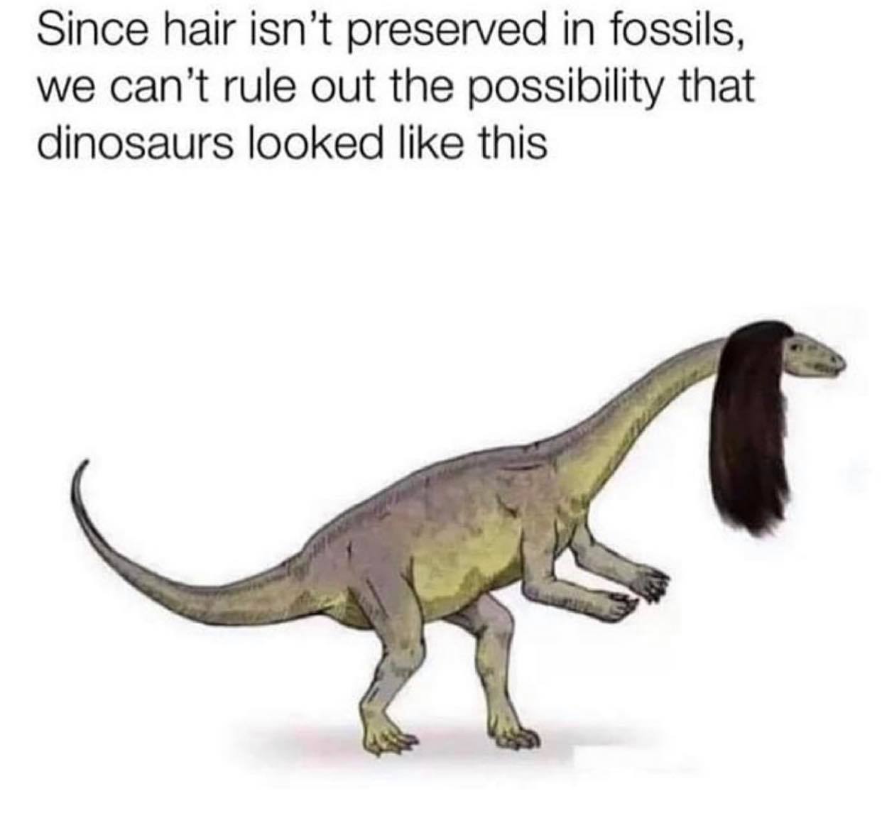 crazy realizations - since hair can t be preserved in fossils - Since hair isn't preserved in fossils, we can't rule out the possibility that dinosaurs looked this