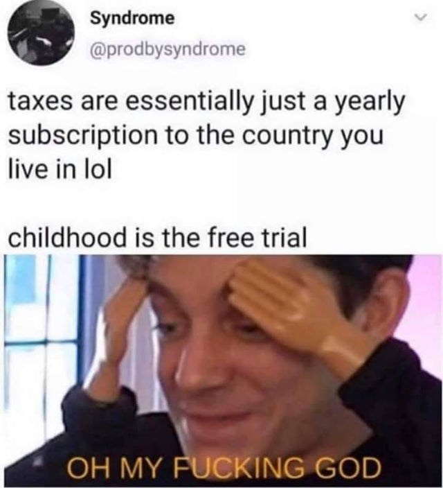 crazy realizations - childhood is the free trial - Syndrome taxes are essentially just a yearly subscription to the country you live in lol childhood is the free trial Oh My Fucking God