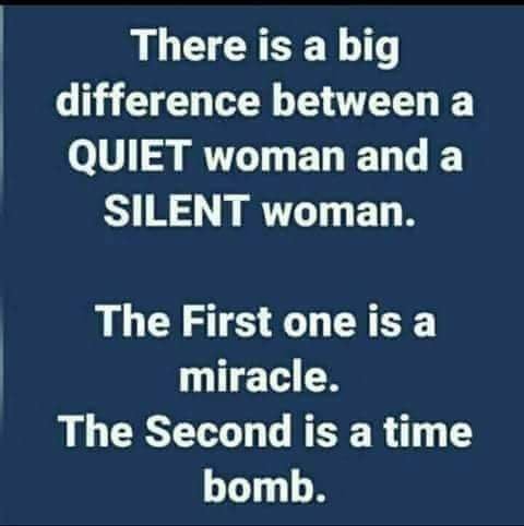 crazy realizations - material - There is a big difference between a Quiet woman and a Silent woman. The First one is a miracle. The Second is a time bomb.