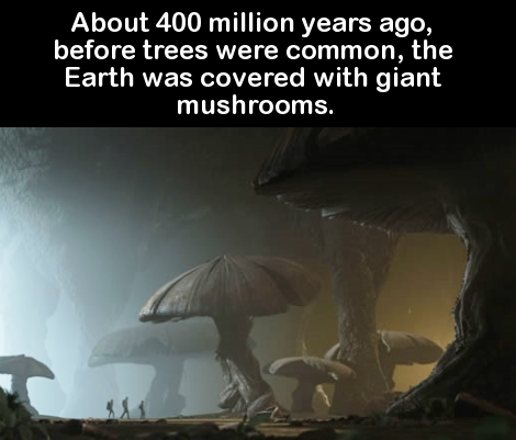 46 facts straight out of nature